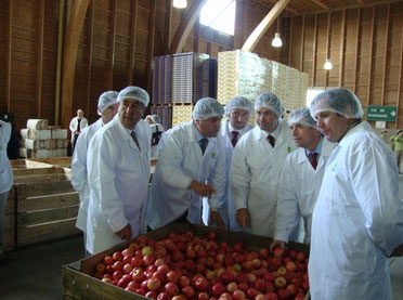 organicas