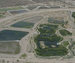 tucson