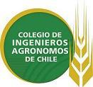 Colegio