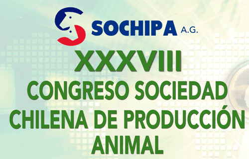 sochipa