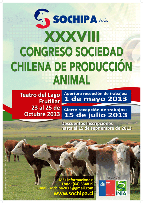 afiche sochipa