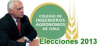 Elecciones2013