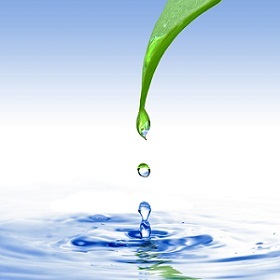 agua
