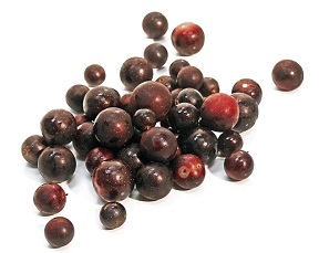muscadine