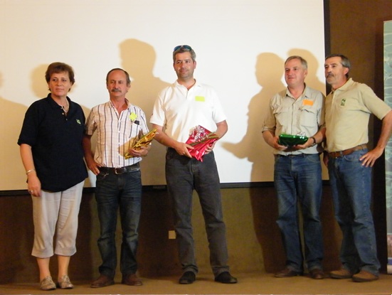 grano forrajero 4