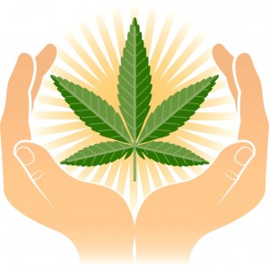 cannabis-medicinal-667x658