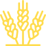 ico_count_1-1-1.png