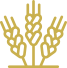 ico_count_1-3.png