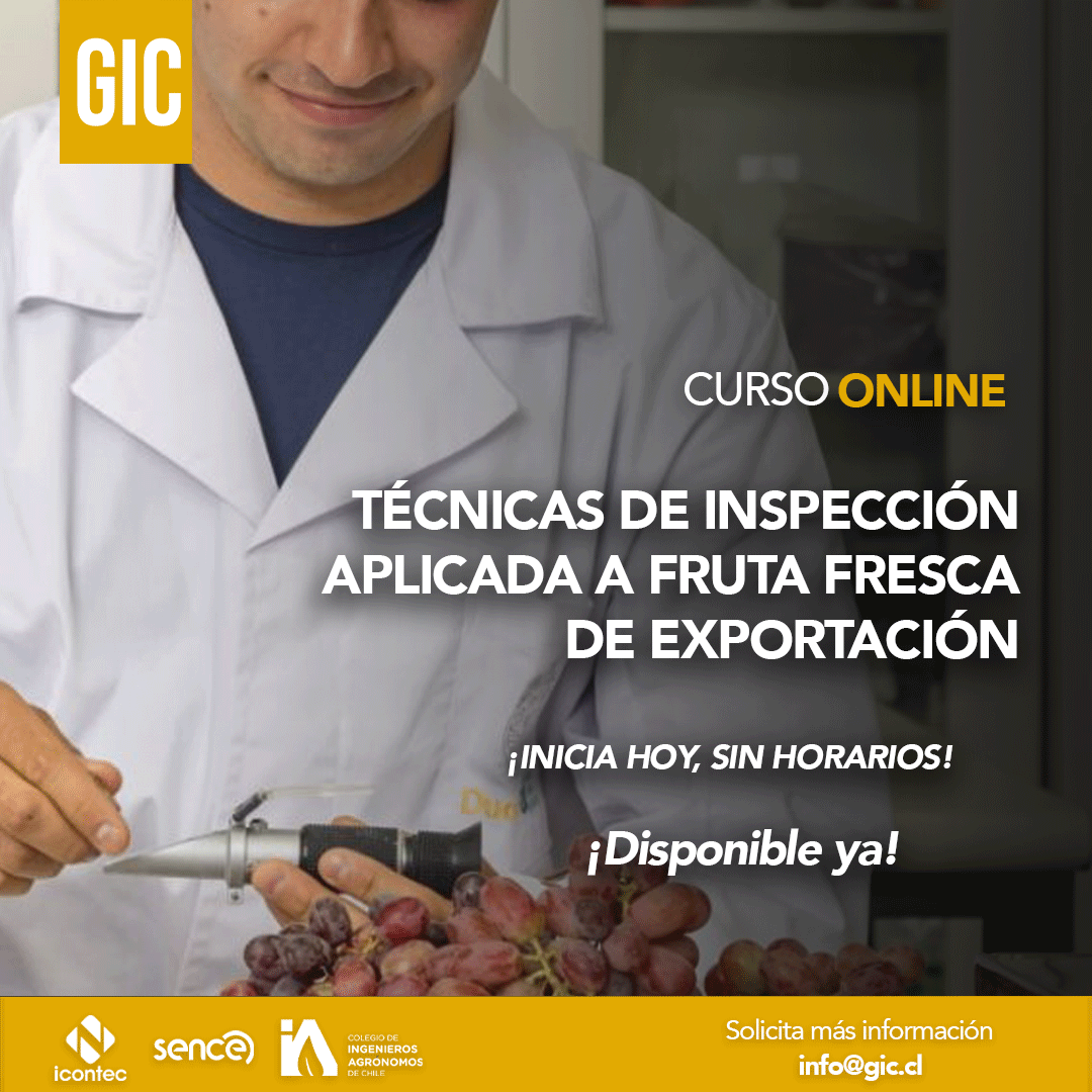 calidad-asincrónico.png