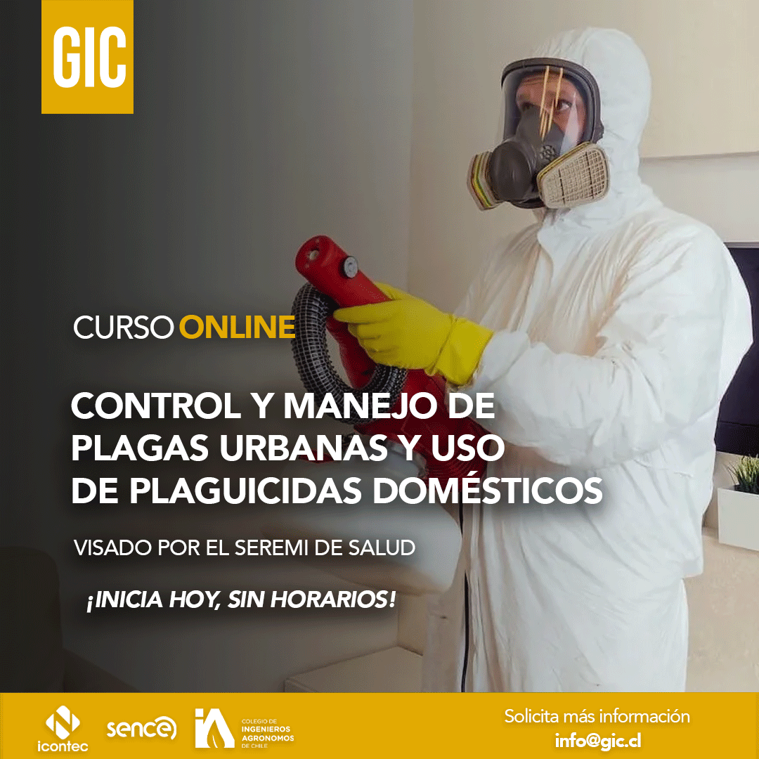 disponible-ya-2-PLAGAS-URBANAS.png