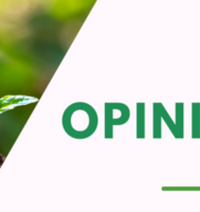 OPINIÓN | La inocuidad de los alimentos y su importancia para la seguridad alimentaria