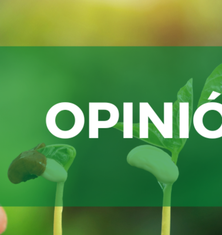 OPINIÓN | Herramientas para optimizar el consumo de agua en la agricultura