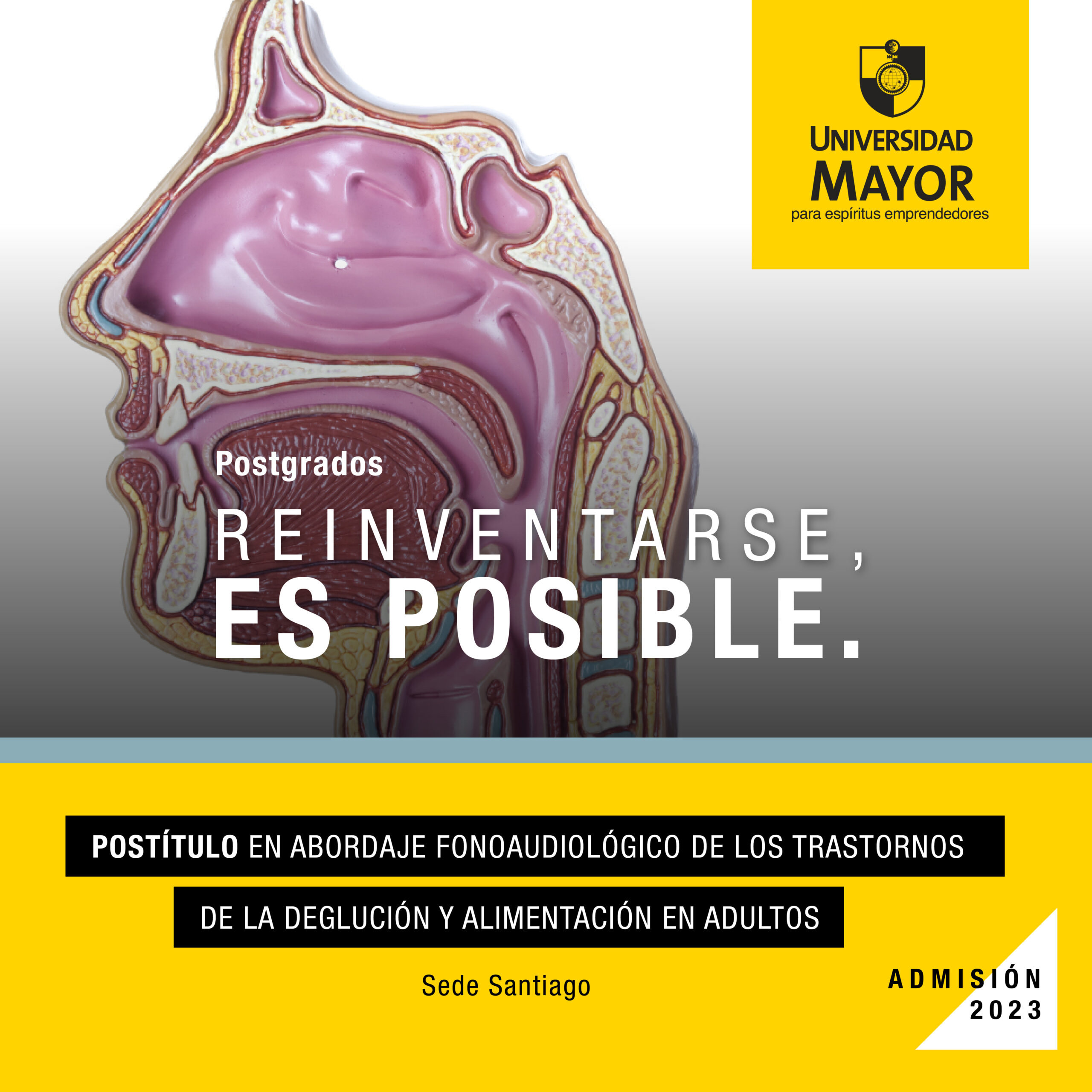 Banner-Postitulo-en-Abordaje-Fonoaudiologico-Santiago-scaled.jpg
