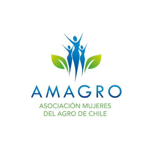 Diseno-sin-titulo-71.png