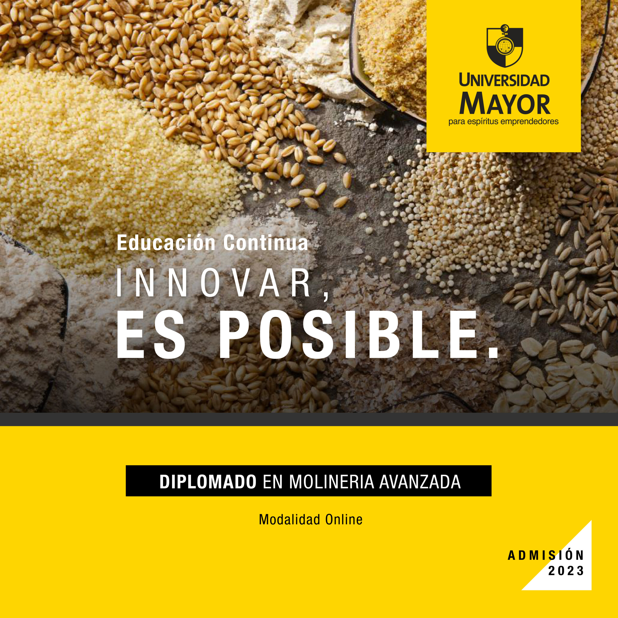 banner_Diplomado-en-Molineria-Avanzada-1-scaled.jpg