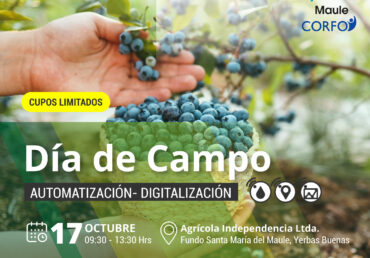 DÍA DE CAMPO | Automatización – Digitalización