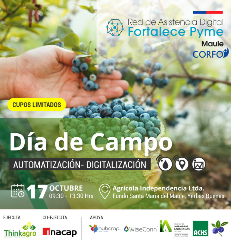 DÍA DE CAMPO | Automatización – Digitalización