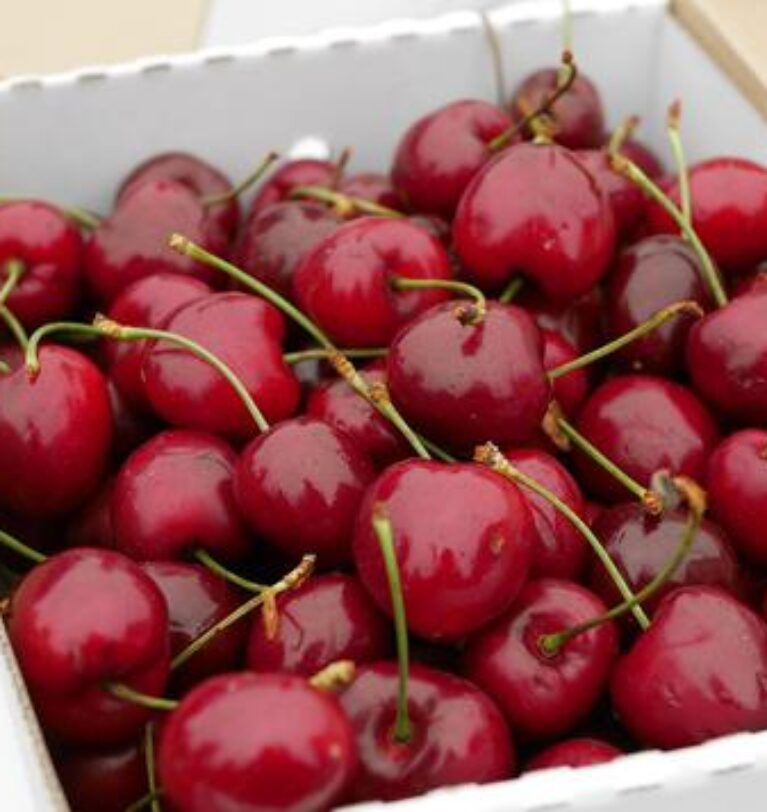 Innovación y sanidad: así prepara Chile sus cerezos para los mercados globales
