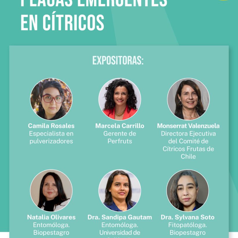 Seminario plagas cítricos